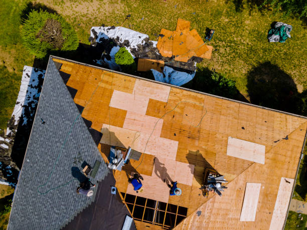 Best Roof Leak Repair  in Loyalhanna, PA
