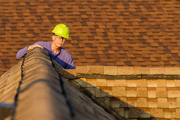Best Roof Maintenance Services  in Loyalhanna, PA